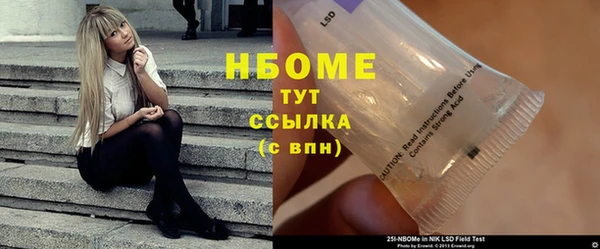 шишки Алзамай