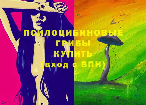 шишки Алзамай