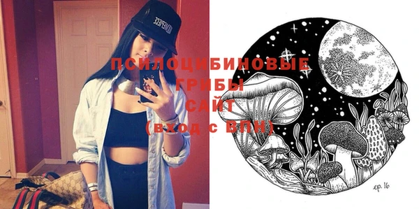 ECSTASY Алексеевка