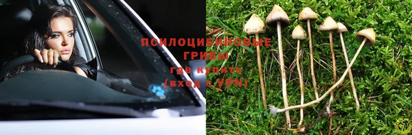 шишки Алзамай