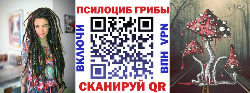 Псилоцибиновые грибы Psilocybine cubensis  дарк нет телеграм  Козьмодемьянск  цена   blacksprut ССЫЛКА 